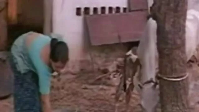 పోర్న్ వుడ్స్ అమేజింగ్ తెలుగు సెక్స్ బిఎఫ్ వీడియో ఫకింగ్